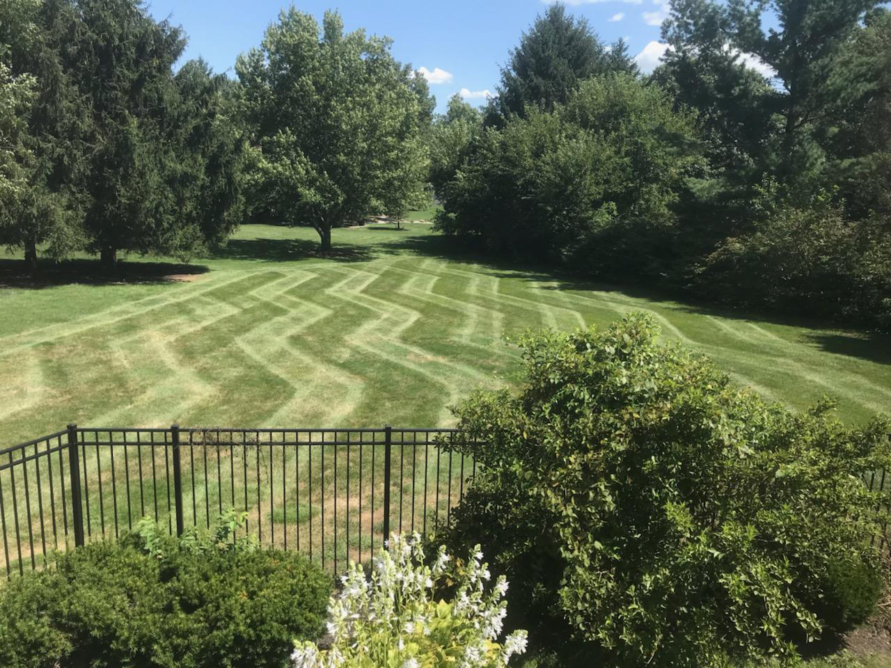 lawn mowing stripes