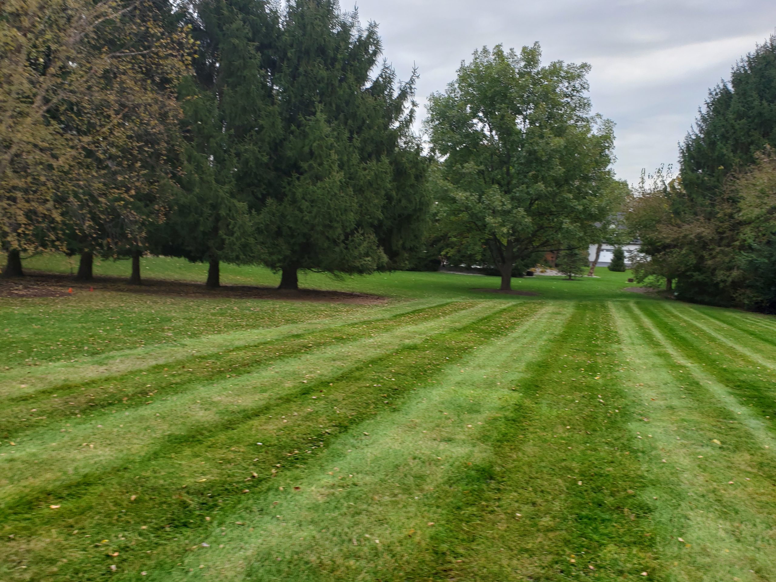 Quality Lawn Mowing Service in Carmel, Indiana