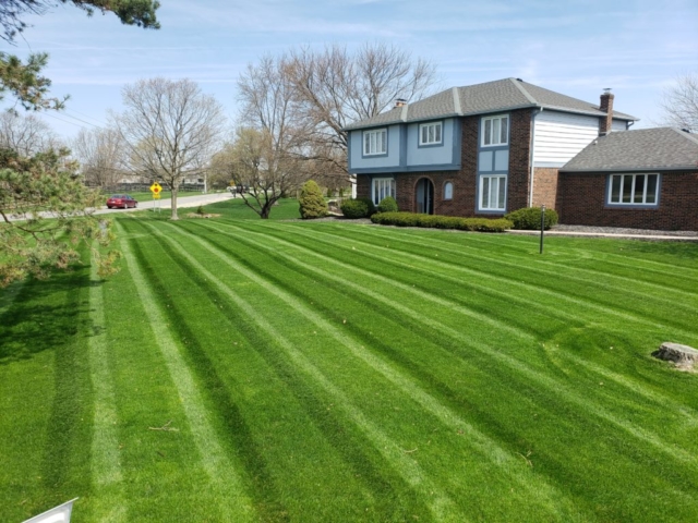 Quality Lawn Mowing Service in Carmel, IN