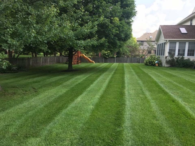 Professional Mowing Services in Carmel, Indiana