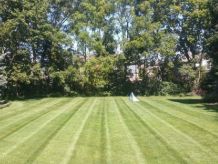 Quality Lawn Mowing in Carmel, Indiana