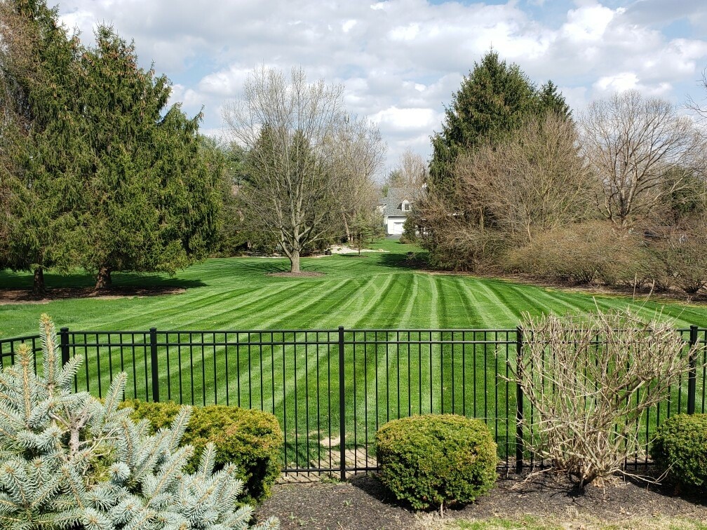 Westfield IN Lawn Care and Landscaping Services