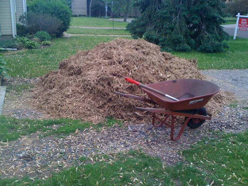 3 Healthy Benefits of Mulching for Your Landscape
