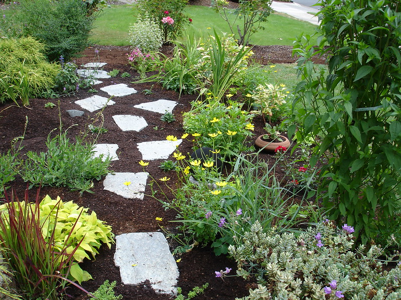 Choose From These 4 Types of Mulch for Your Landscape