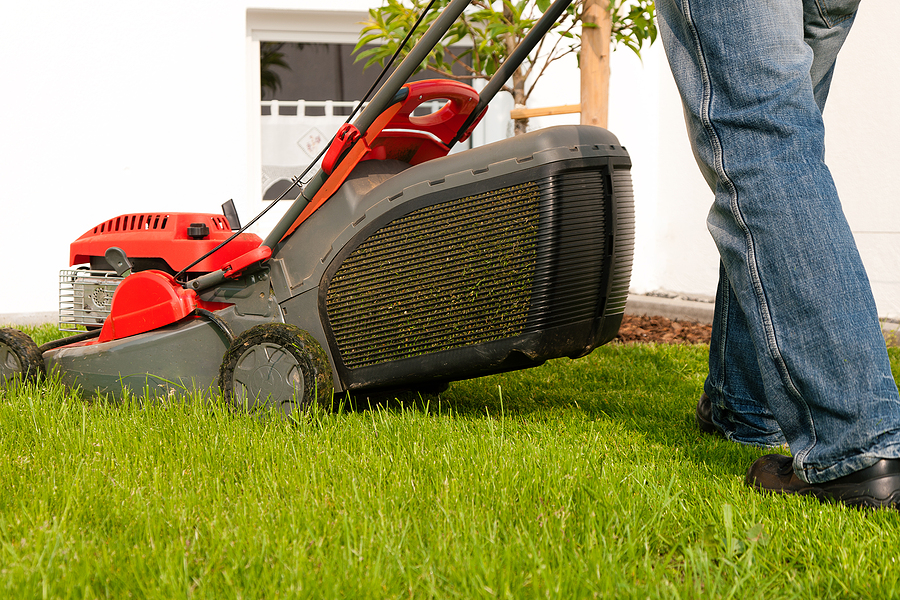 Avoid These 4 Lawn Mowing Mistakes