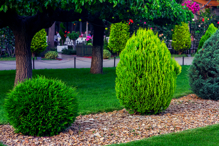 4 Reasons to Mulch Your Commercial Property and Landscape