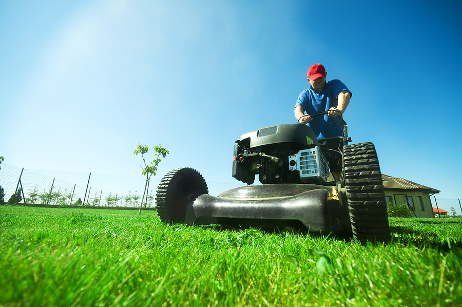3 Common Lawn Mowing Questions
