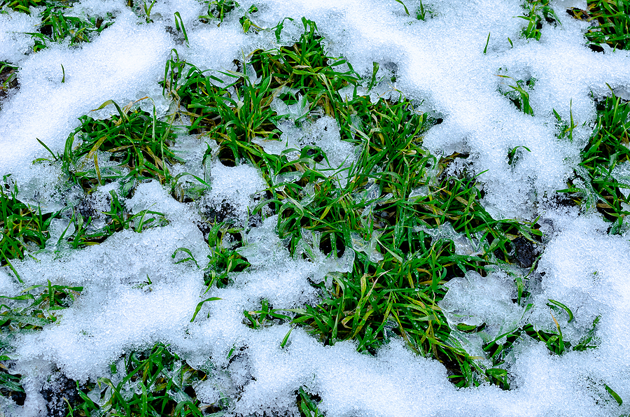 4 Ways to4 Ways to Prep Your Landscape For WinterPrep Your Landscape For Winter