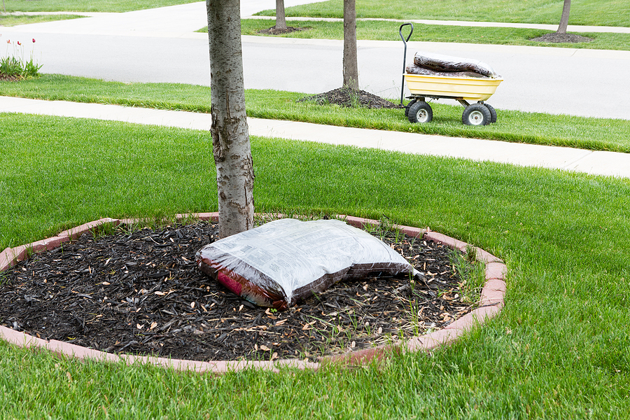 3 Best Practices for Applying Mulch Each Spring