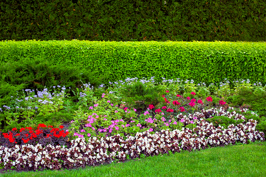 4 Advantages of Professional Landscaping