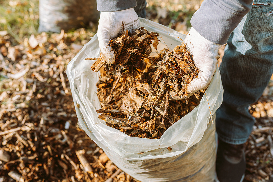 When, Why, and How to Mulch Your Property