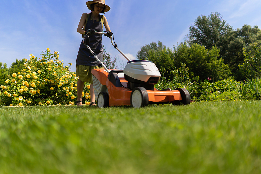 What Is the Best & Worst Time of Day to Mow Your Lawn?