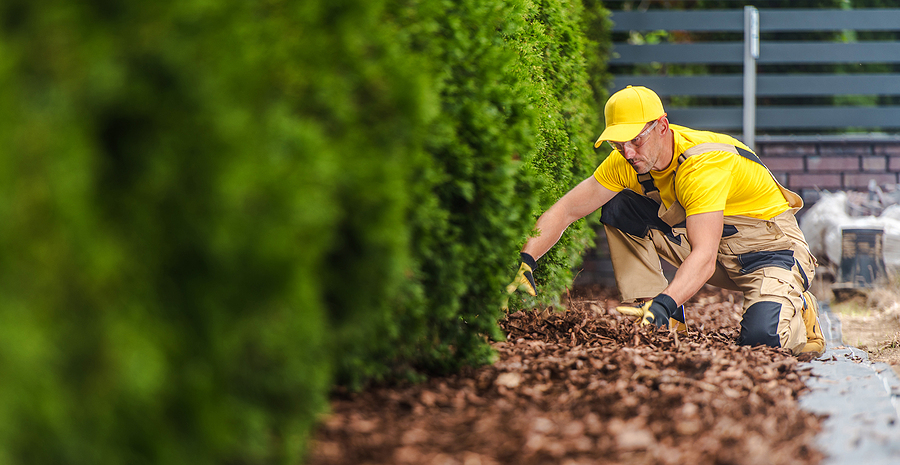 3 Tips for Mulching Your Garden Each Spring