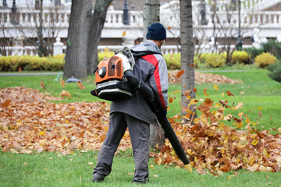 4 Benefits of Leaf Removal from Your Lawn